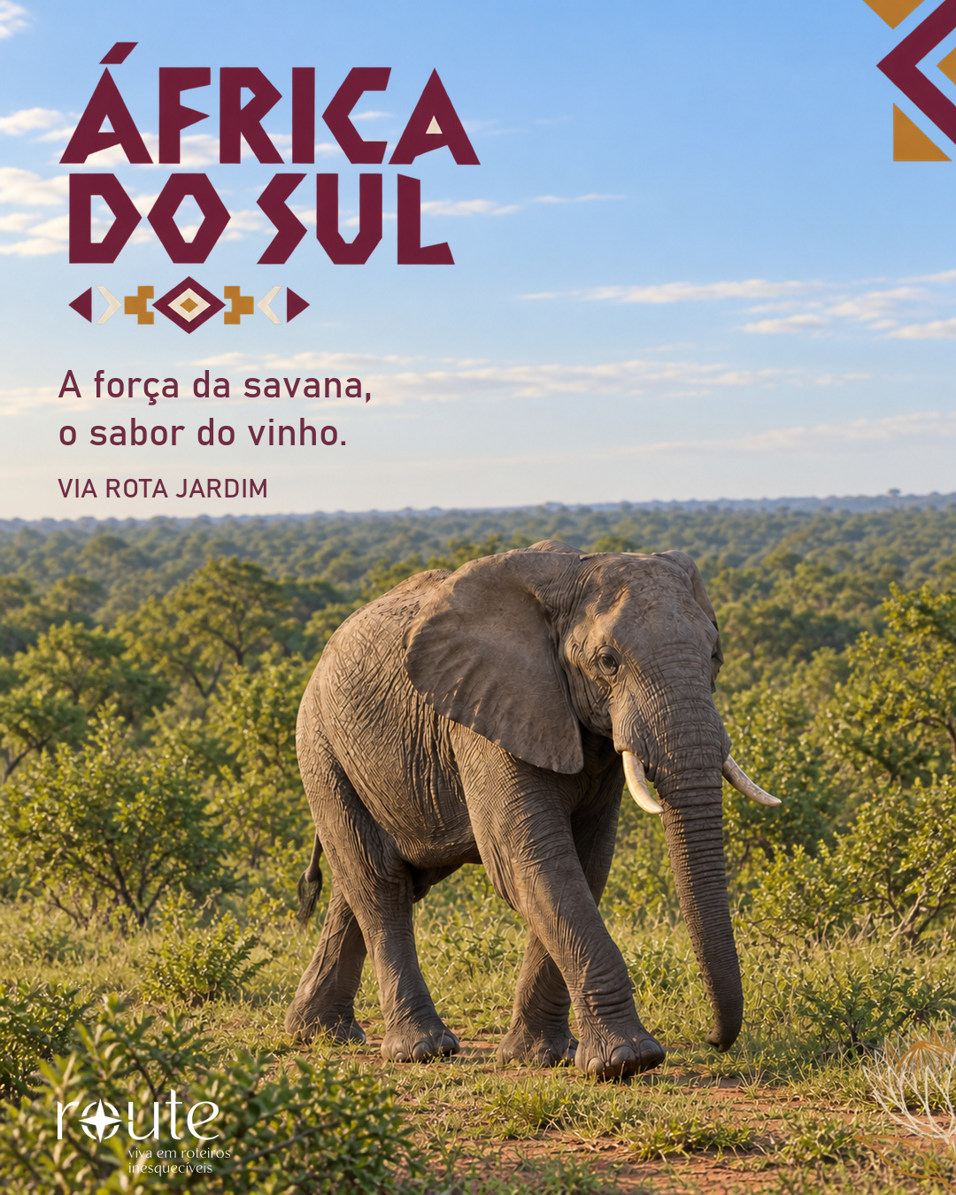 africa_do_sul_capa_site_4x5_v01